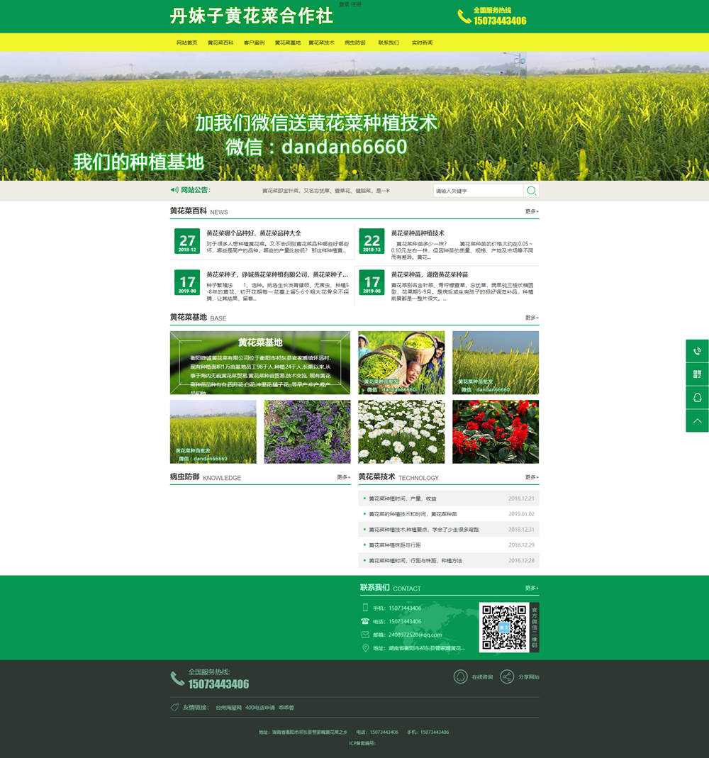丹妹子黄花菜合作社(图1)